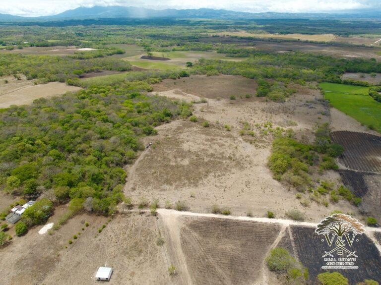 Finca Cofradía