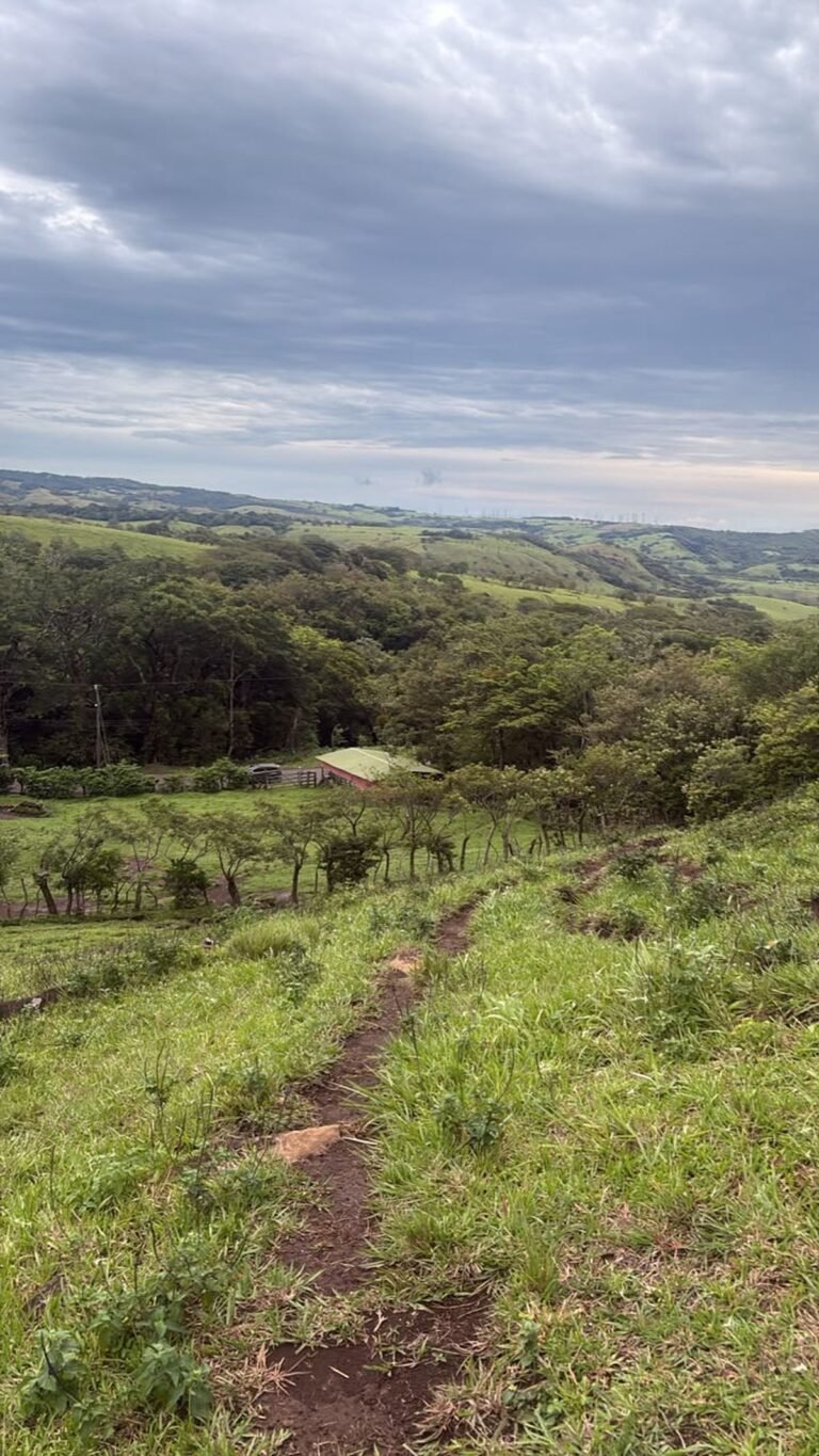 Finca Nueva Guatemala