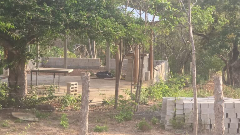 Terreno San Pedro