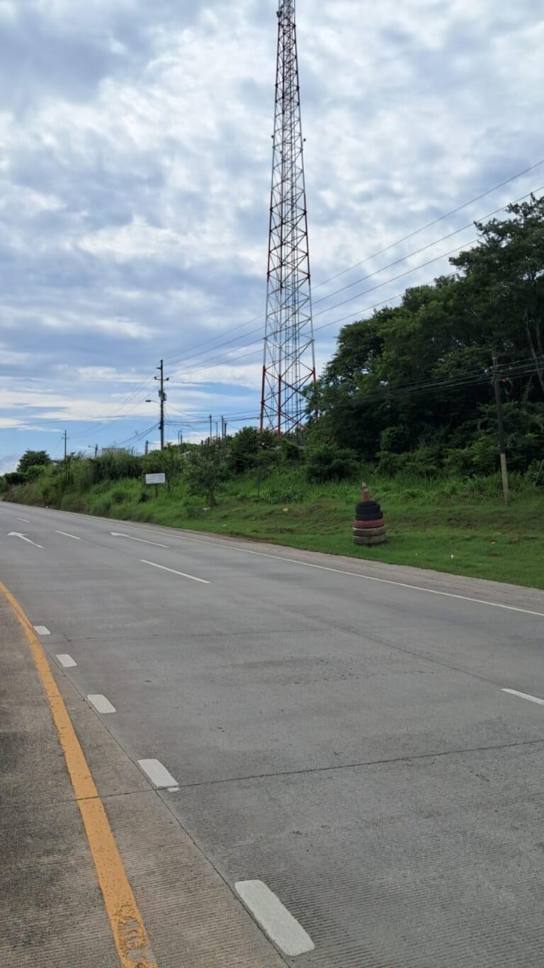 Lote en Cañas — frente a Carretera Interamericana