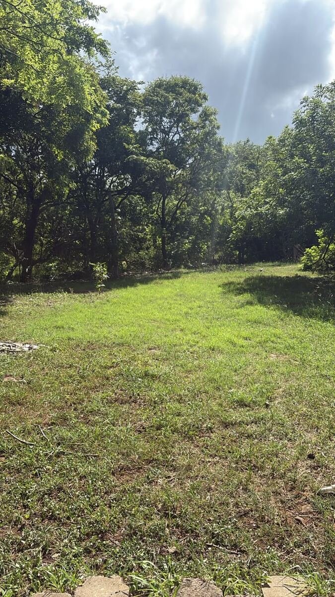 Terreno en Cedros de Cañas