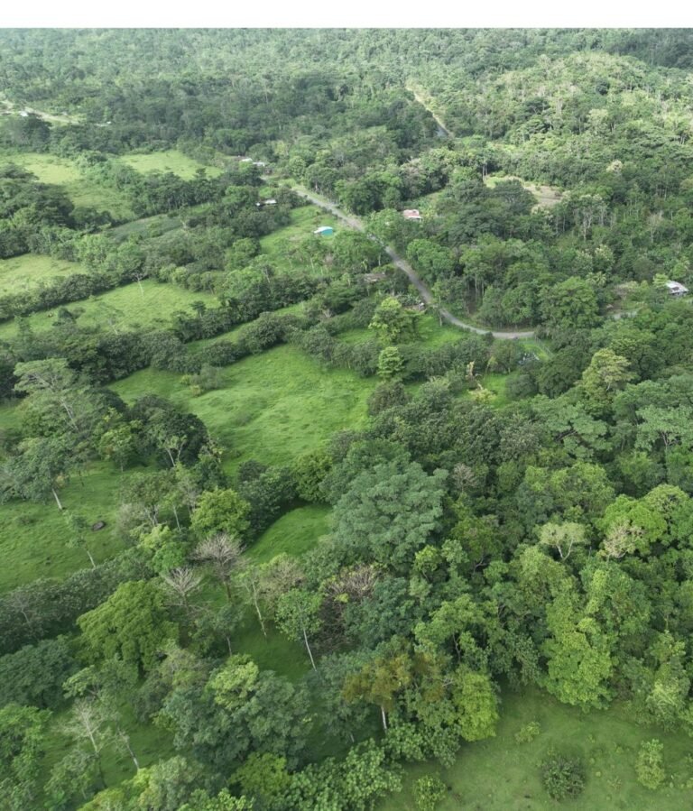 Terreno de 91.598 m² en Canalete de Upala