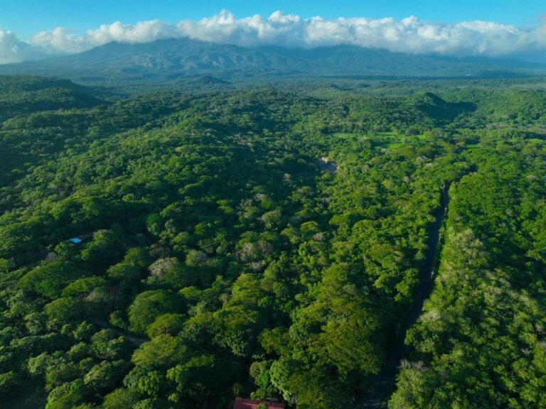Hectárea en Curubandé · Colindante con Hacienda Guachipelín