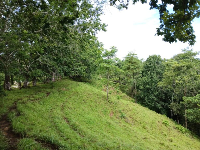 Finca con Quebrada en Betel de Cóbano