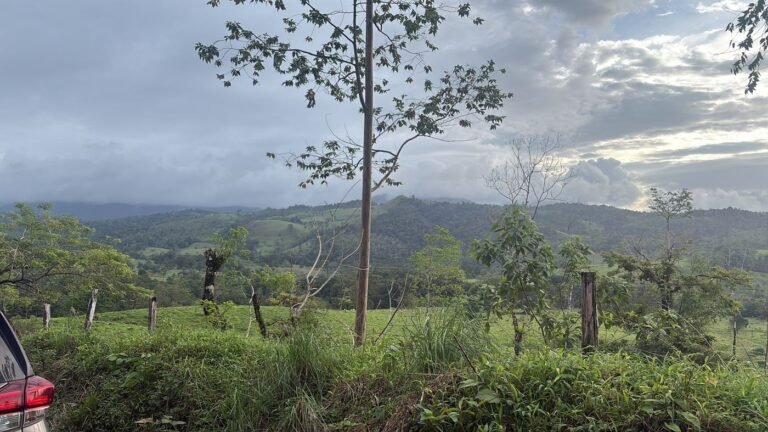 Finca Achiote